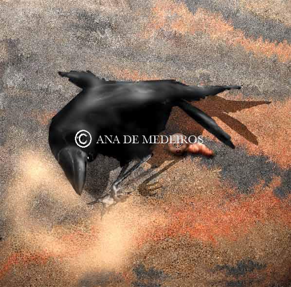 "David and the Raven"
Children's Book
Copyright © 2010 Ana de Medeiros
